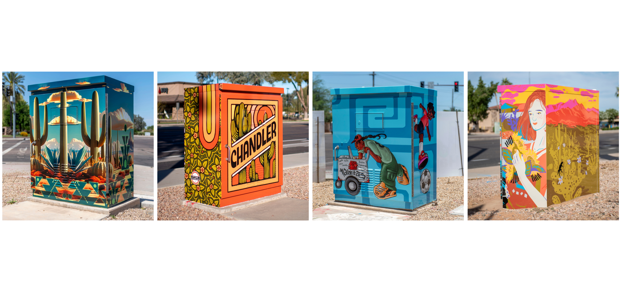 2025 Vinyl Box Graphic horizontal